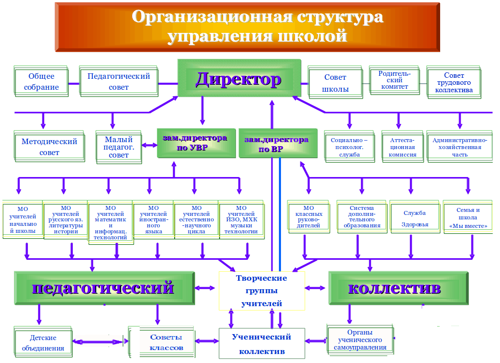 Схема внешней и внутренней структуры судебно медицинской службы